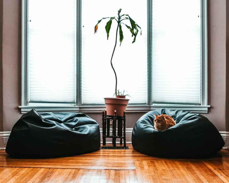 Black Beanbag (10 Pack)