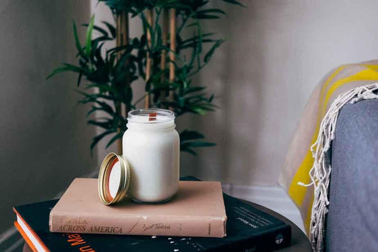 A cozy setting with a white candle on stacked books beside a plant.
