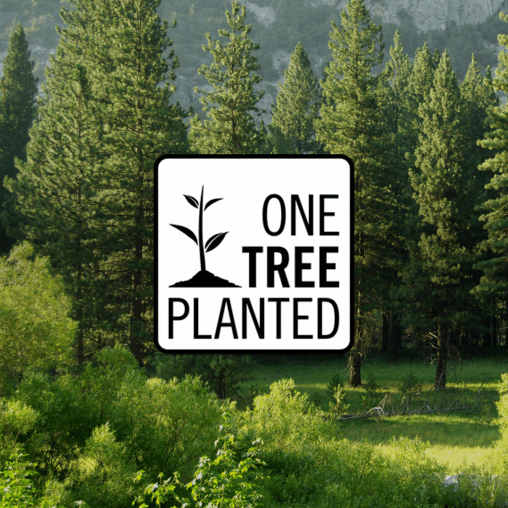 Donation of a Tree: A lush forest scene with a “One Tree Planted” badge, symbolizing a contribution to global reforestation efforts.