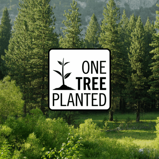 Donation of a Tree: A lush forest scene with a “One Tree Planted” badge, symbolizing a contribution to global reforestation efforts.