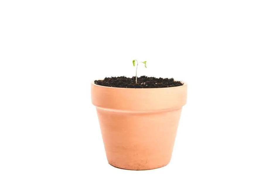 test1bundle