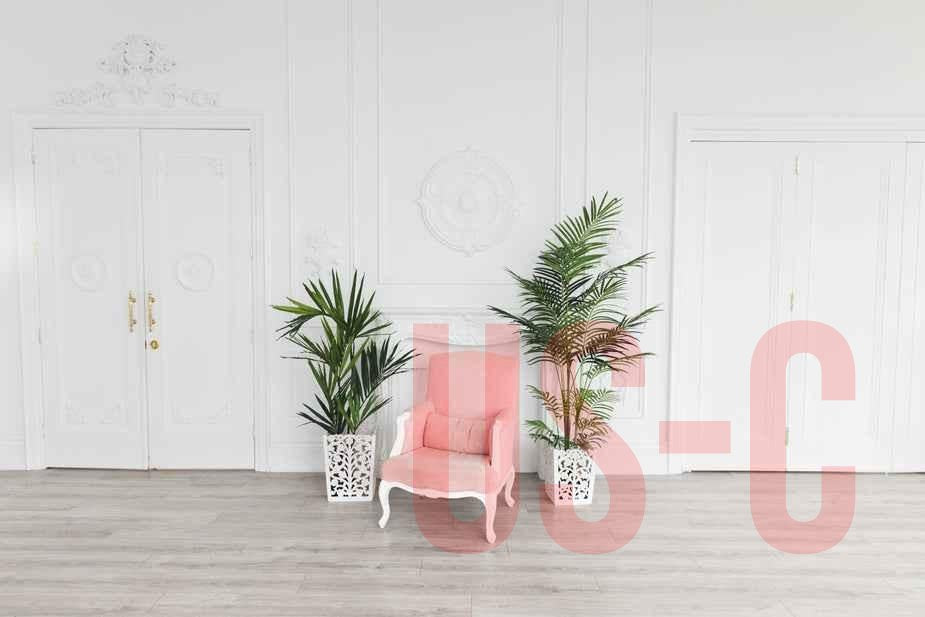 Bright room with a pink chair and green plants