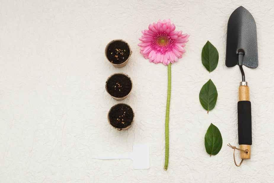 Gardening supplies arranged on a surface: a pink flower, three planting pots, green leaves, and a trowel.