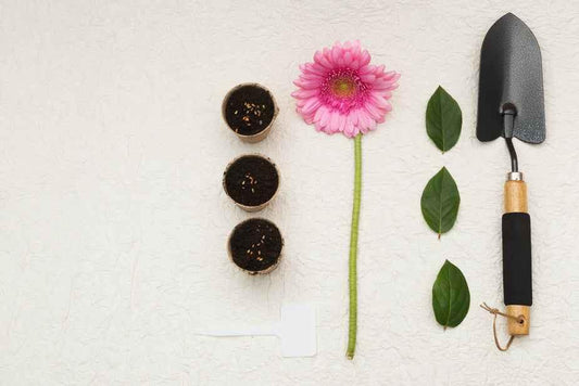 Gardening supplies arranged on a surface: a pink flower, three planting pots, green leaves, and a trowel.